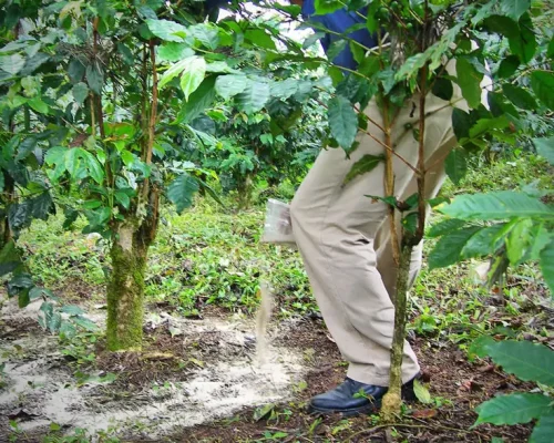 Preparacion-del-suelo